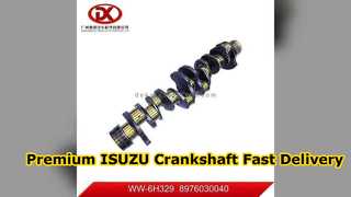 Pièces de haute qualité du vilebrequin 8976030040 d'ISUZU 6HE1 6HK1